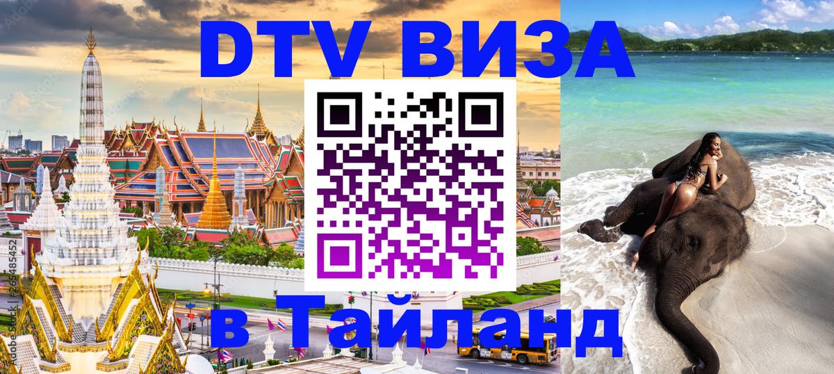 Сколько стоит DTV виза — актуальные цены, оформление даже без документов - Минск  08.01.2026 